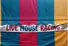 live mouse racing