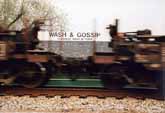 wash and gossip